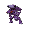 Dark Genesect (Ice)